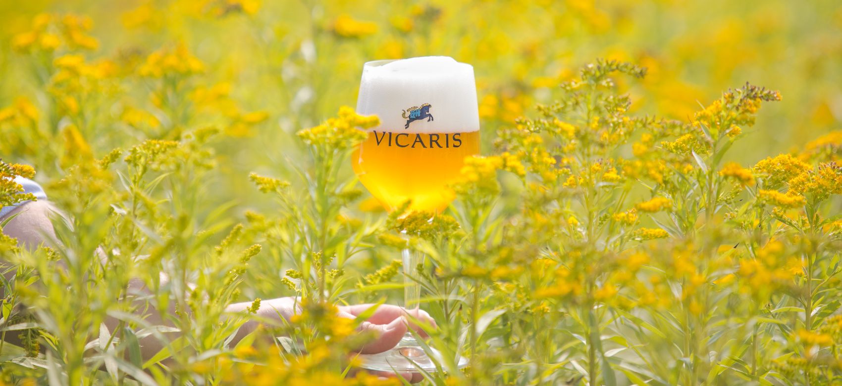 Vicaris bier